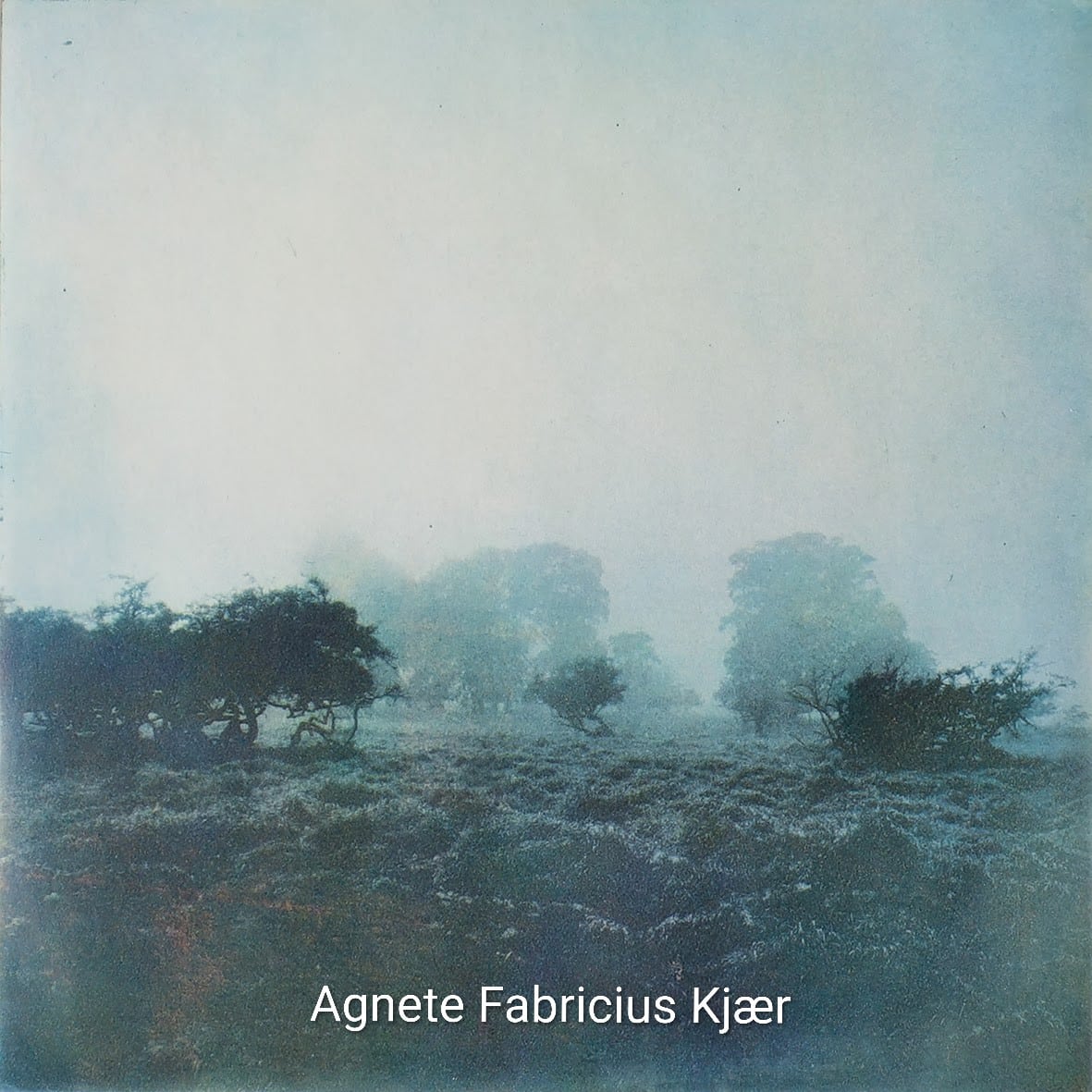 Grafik udstilling Agnete Fabricius Kjær