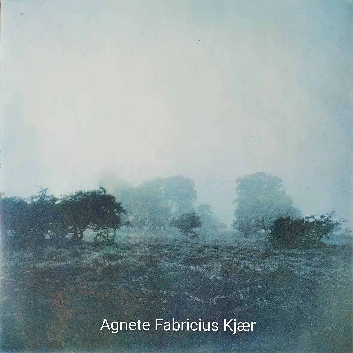 Grafik udstilling Agnete Fabricius Kjær