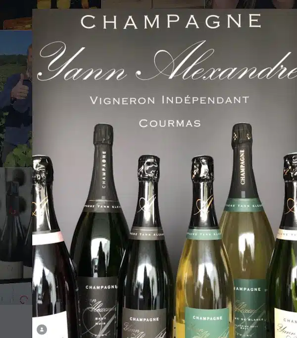 le bon gout champagne havarthigaarden vinmarked
